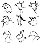 farm animals collection of icons