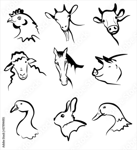 Vektor: farm animals collection of icons farm animals collection of icons