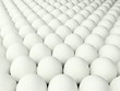 Eier