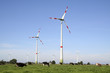 Windräder und Kuhweide
