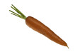 SIngle Organic Carrot SIngle Organic Carrot