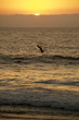 Sunset in Vina del Mar
