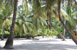 Picknic tables in coconut grove on the beach Picknic tables in coconut grove on the beach