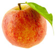 pomme gala pomme gala