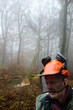 fall of a tree felled by a  lumberjack