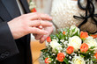 Newly-married couple on wedding dresses gold rings