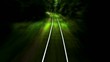 Rail in the wooods