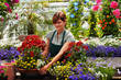 Foto: young female gardener in the greenhouse young female gardener in the greenhouse
