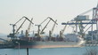 Commercial port cranes. Cranes in a port