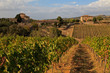 Weingut in der Toskana