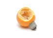 Orange in the form of a bulb Orange in the form of a bulb