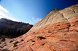 Sandstone Cliff Wall, Zion