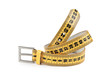 meter belt slimming isolated