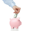Male hand putting dollar bill into a piggy bank