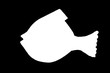 Fisch_Illu