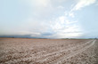 Little snow on field,