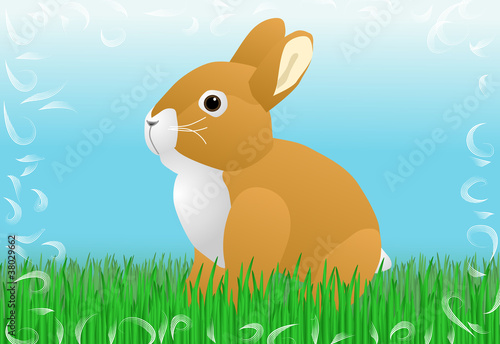 Vektor: Hase im Gras Hase im Gras