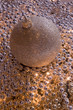 golden Christmas ball on the bright pearls