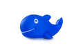 dolphin. rubber toy dolphin. rubber toy