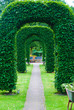 Foto: arch of topiary arch of topiary