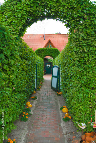 Photo: arch of topiary arch of topiary