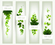 set of four banners