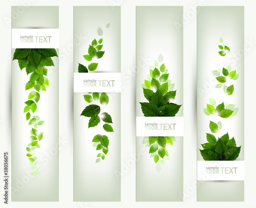 Vector: set of four banners set of four banners