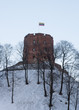 Tower of Gediminas, Vilnius, Lithuania