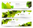 Vector Fresh spring horizontal banners