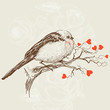 Love bird Love bird