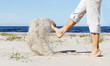 Legs kick sand. Legs kick sand.