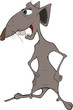 Rat. Cartoon