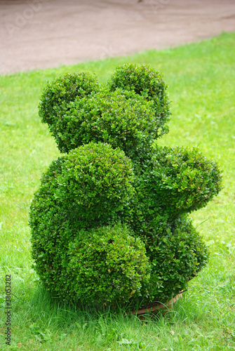 Photo: Beautifully manicured park plant. Beautifully manicured park plant.