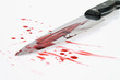 Messer mit Blut. Kriminalität. Tatwaffe eines Mordes.