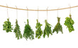 Fresh herbs