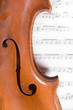part of an old violin .. part of an old violin ..