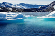 Iceberg