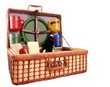 Open picnic basket