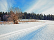 snow-covered road