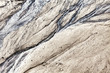 Foto: NatureArt NatureArt