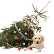 weihnachten zu ende?!
