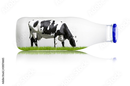 Foto: Kuhmilch Kuhmilch