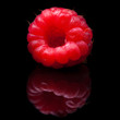 Raspberry closeup. Isolated on black. Raspberry closeup. Isolated on black.