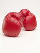 gants de boxe