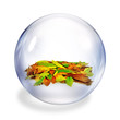 leaves in bubble