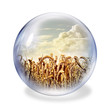 wheat glass ball