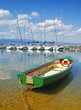 Barque verte