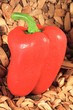 Paprika