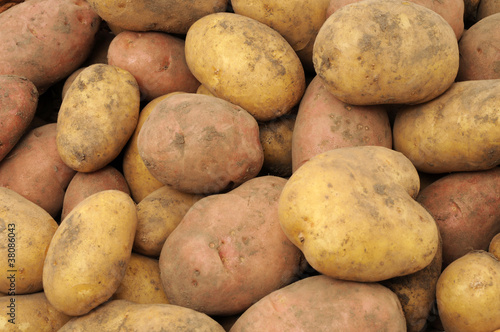 Photo: Potatoes Potatoes