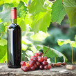 Foto: Wine bottle and bunch of grapes Wine bottle and bunch of grapes